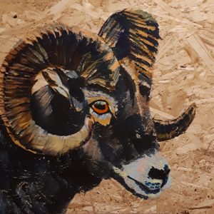 Rollo<p class="size">16.5 x 17.5in</p>