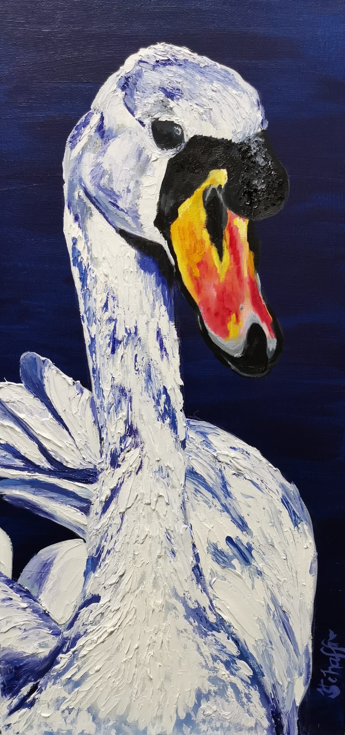 Windsor Blue - Image 2